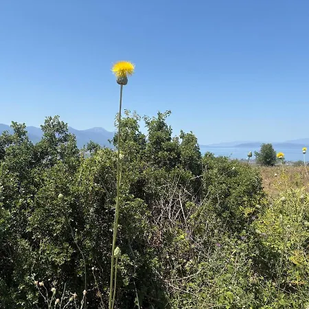 Tülüşah With Own Garden&fruit Trees, 950m To Beach, 2 Bedrooms *
