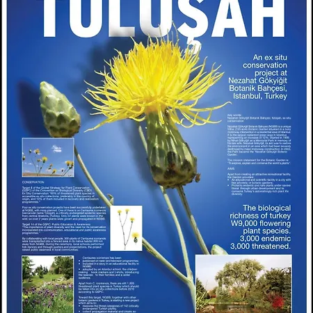 Tülüşah With Own Garden&fruit Trees, 950m To Beach, 2 Bedrooms